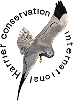 Harrier Conservation International